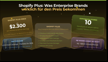 Shopify Plus: Was Enterprise Brands wirklich für den Preis bekommen